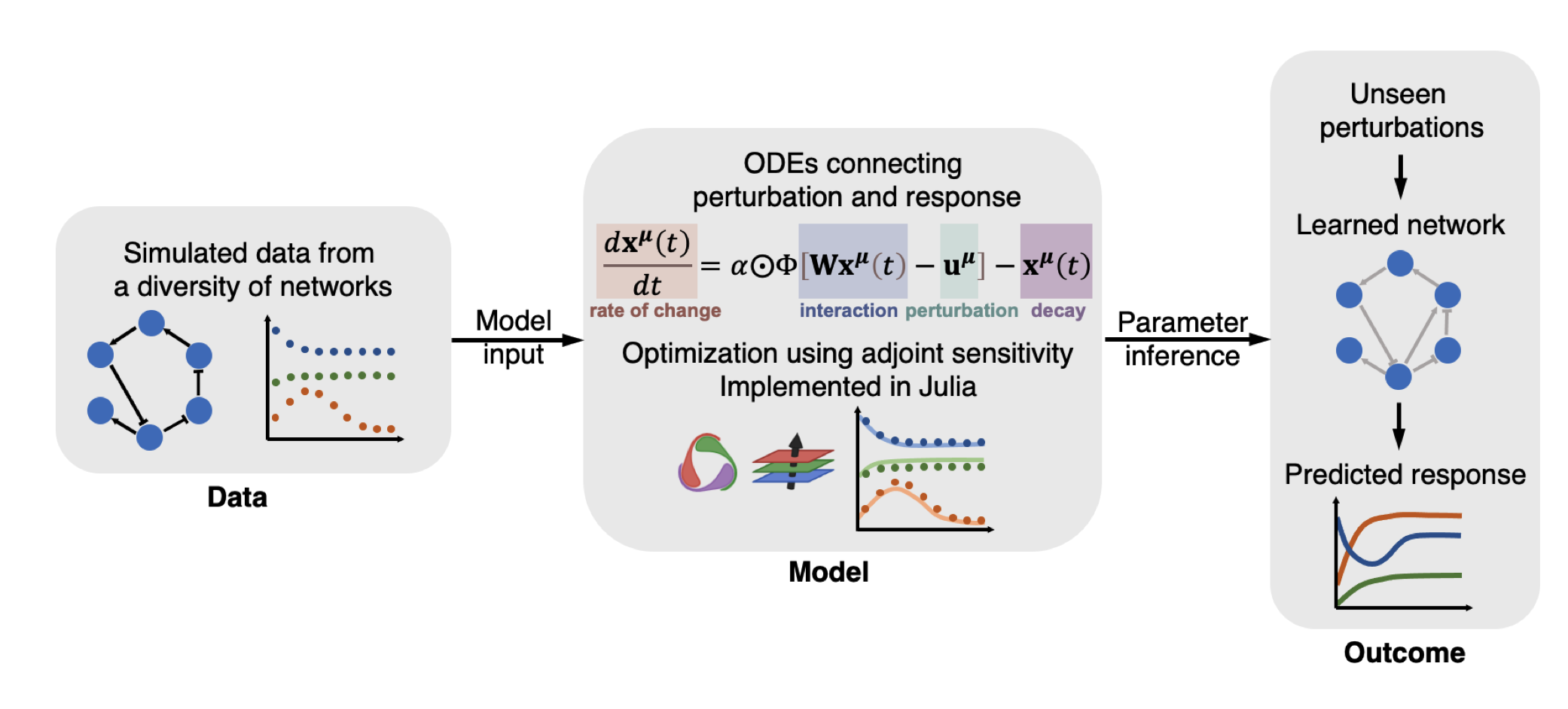 Inference of cell dynamics on perturbation data using adjoint sensitivity