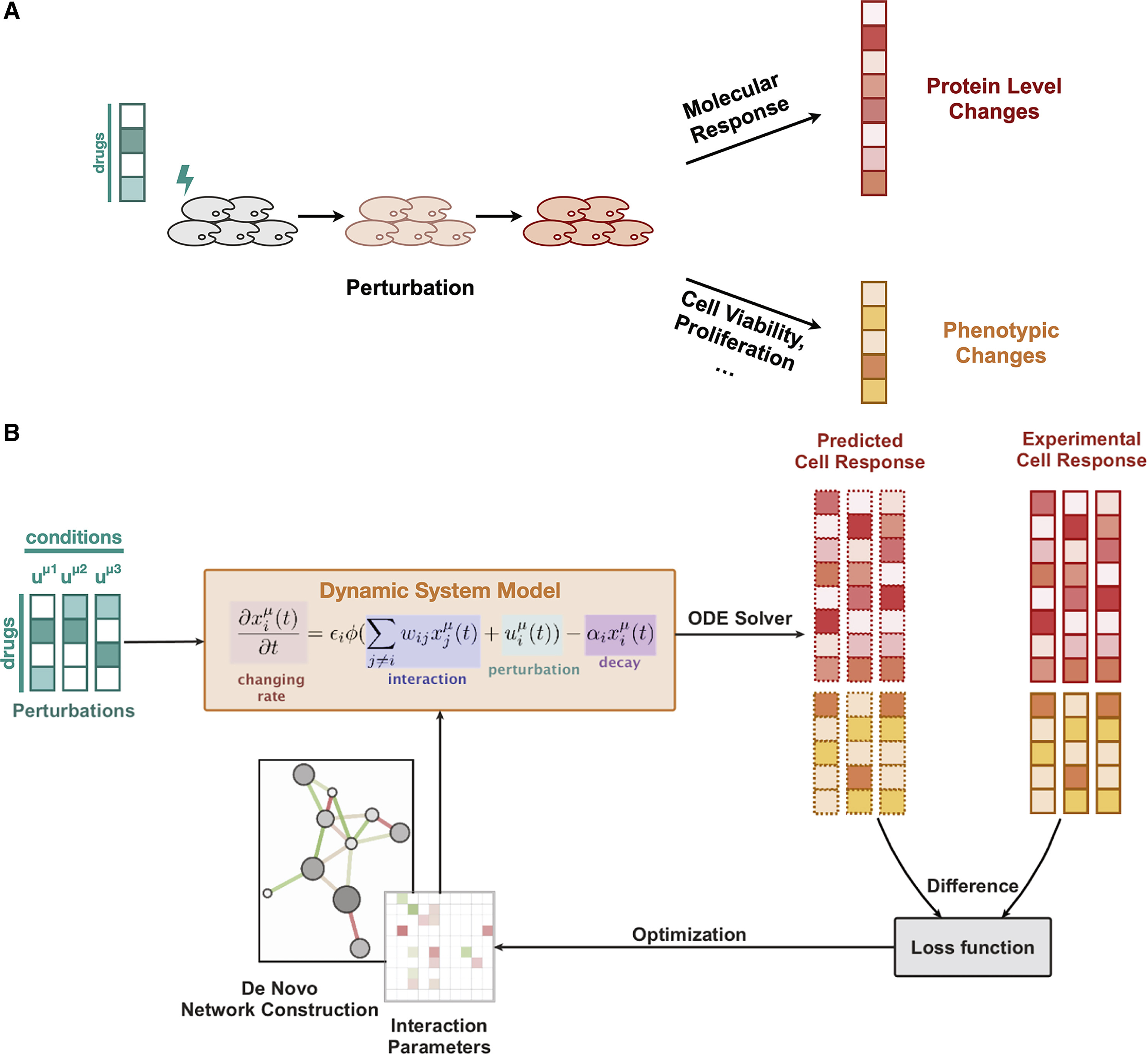 CellBox: interpretable machine learning for perturbation biology with application to the design of cancer combination therapy