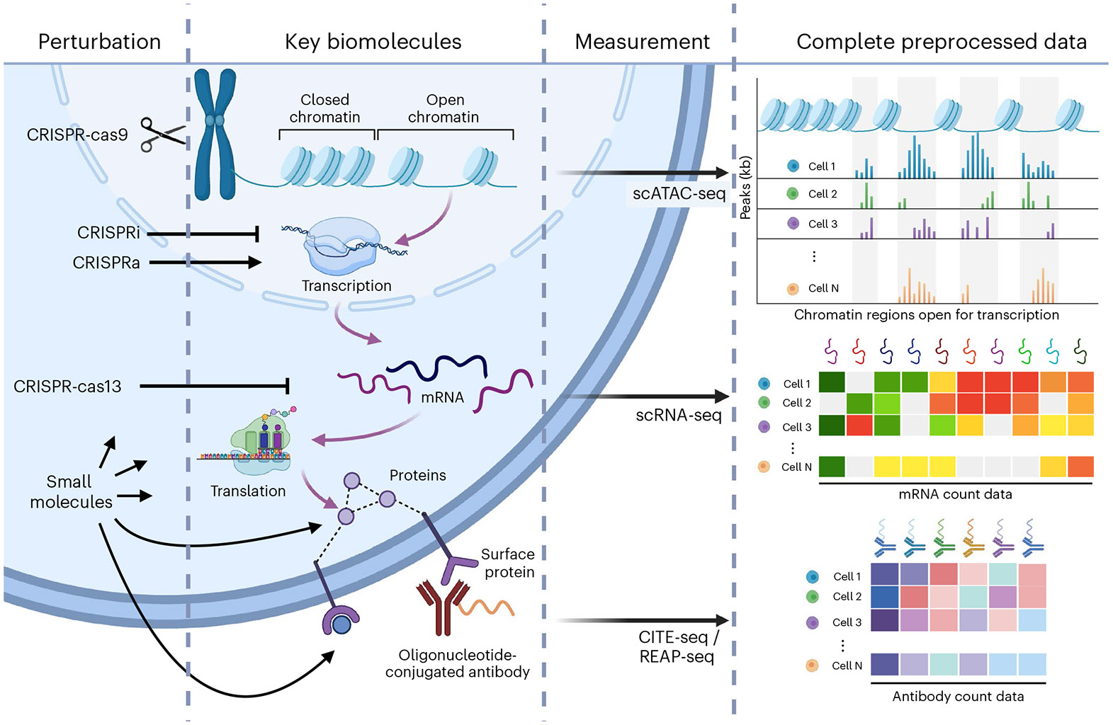 scPerturb: harmonized single-cell perturbation data